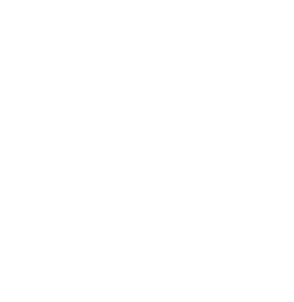 Logo Softwow